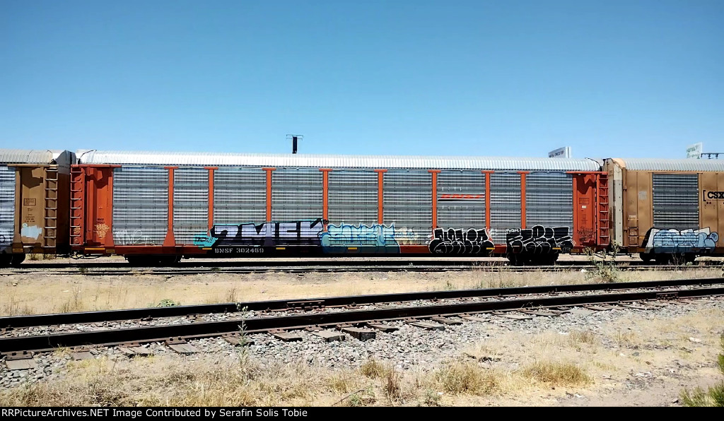 BNSF 29207 BNSF 302469